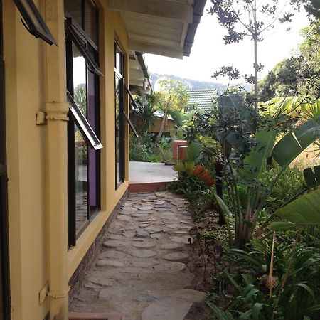 Hostel Jungle Monkey Backpackers Port Saint Johnʼs Exterior foto