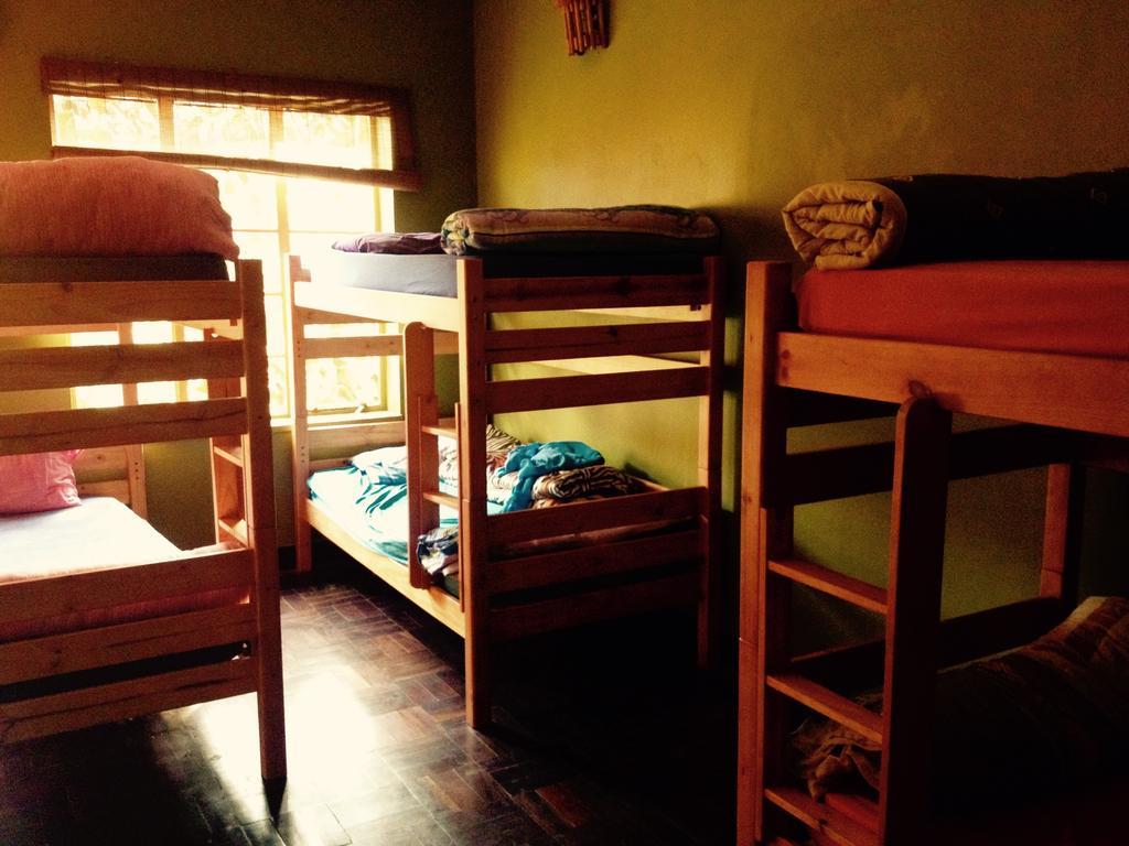 Hostel Jungle Monkey Backpackers Port Saint Johnʼs Zimmer foto