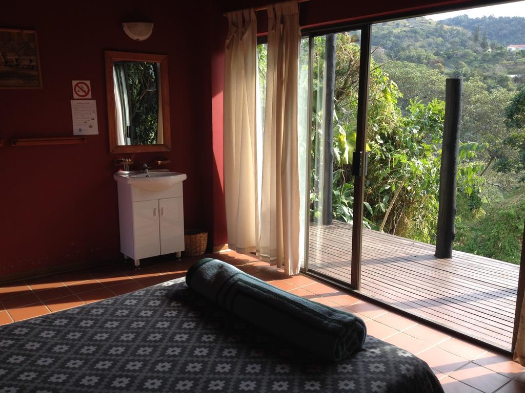 Hostel Jungle Monkey Backpackers Port Saint Johnʼs Zimmer foto
