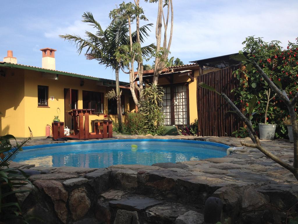 Hostel Jungle Monkey Backpackers Port Saint Johnʼs Zimmer foto