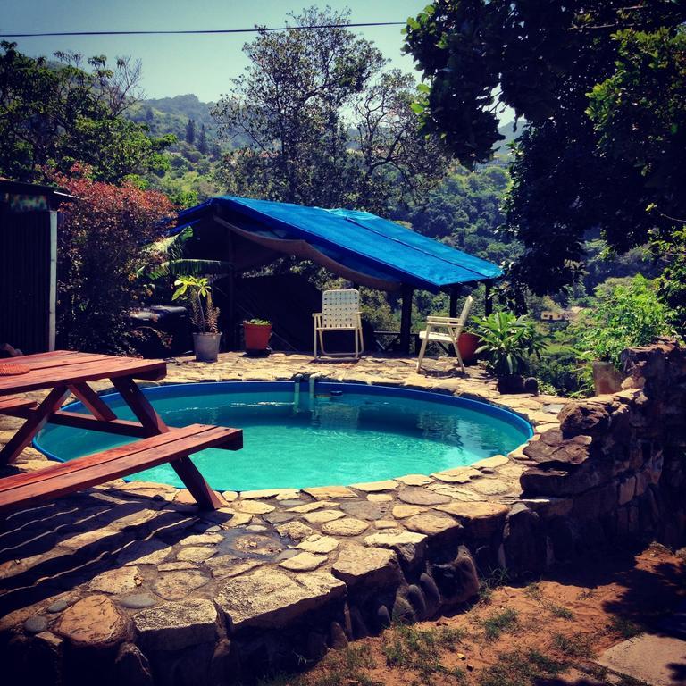 Hostel Jungle Monkey Backpackers Port Saint Johnʼs Zimmer foto