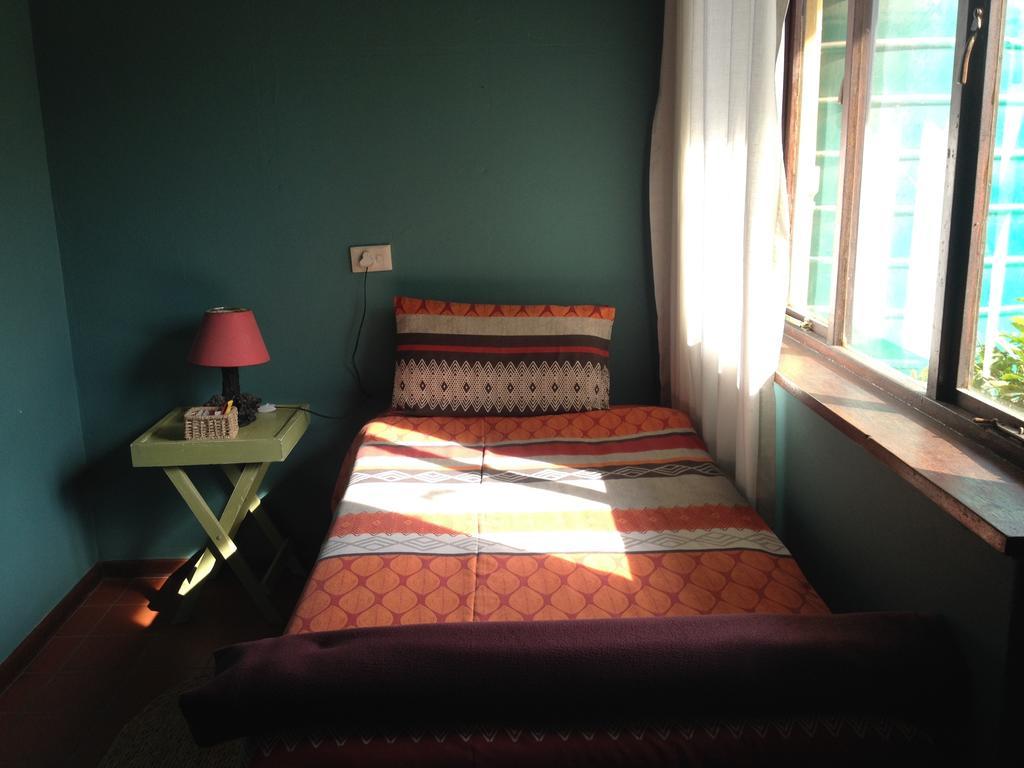 Hostel Jungle Monkey Backpackers Port Saint Johnʼs Zimmer foto