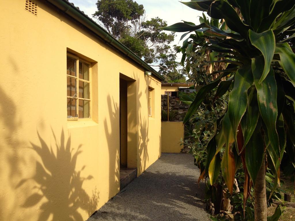 Hostel Jungle Monkey Backpackers Port Saint Johnʼs Zimmer foto