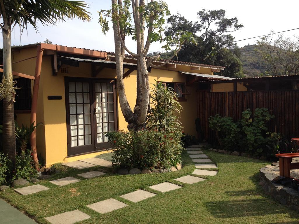 Hostel Jungle Monkey Backpackers Port Saint Johnʼs Zimmer foto