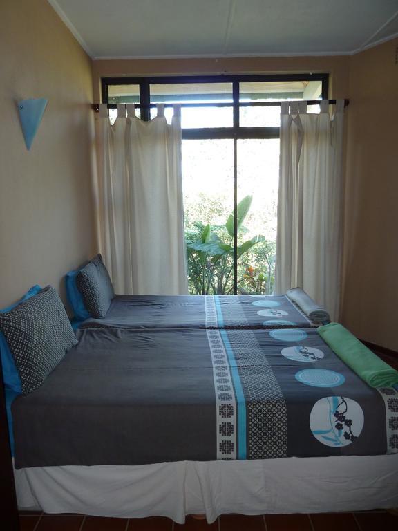 Hostel Jungle Monkey Backpackers Port Saint Johnʼs Zimmer foto
