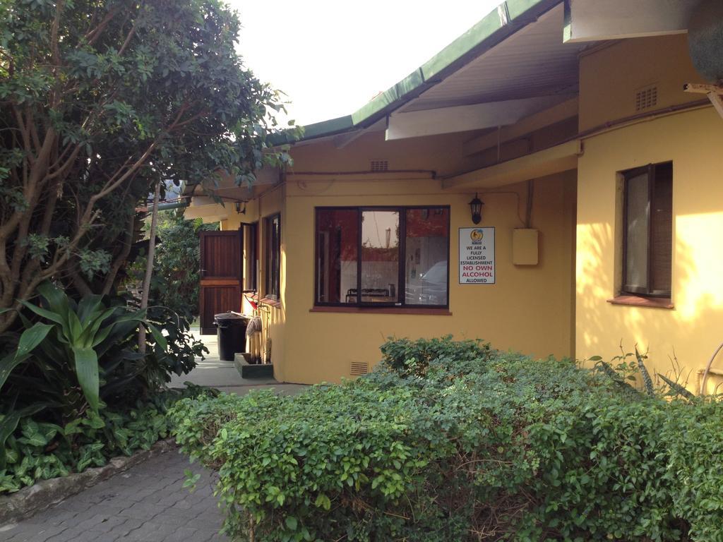 Hostel Jungle Monkey Backpackers Port Saint Johnʼs Zimmer foto