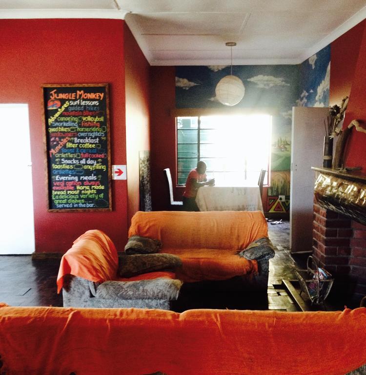Hostel Jungle Monkey Backpackers Port Saint Johnʼs Zimmer foto