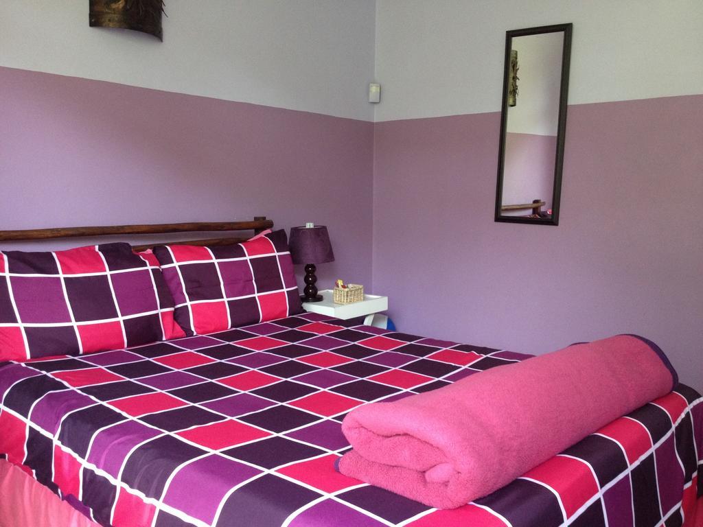Hostel Jungle Monkey Backpackers Port Saint Johnʼs Zimmer foto