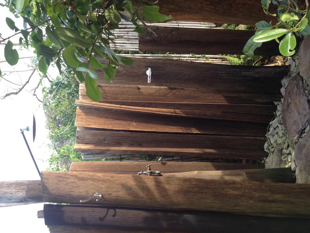 Hostel Jungle Monkey Backpackers Port Saint Johnʼs Zimmer foto