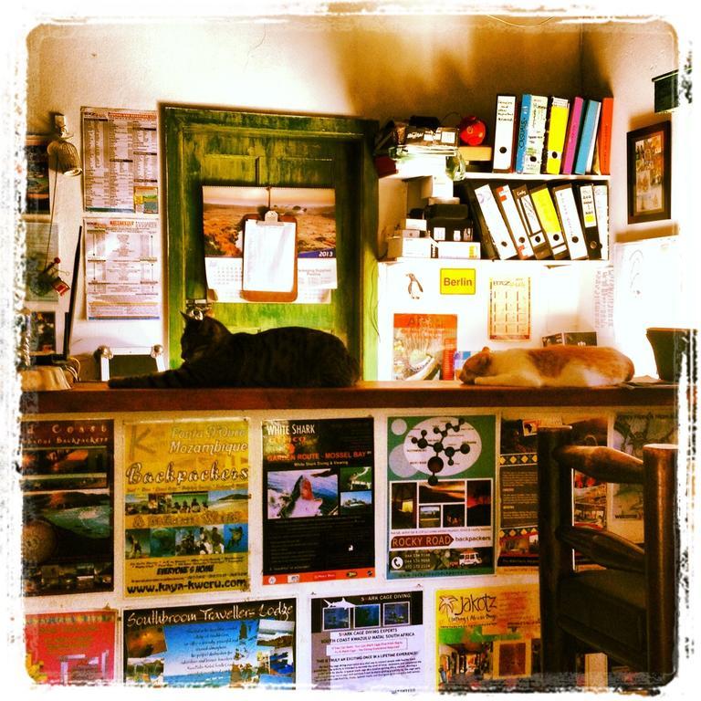 Hostel Jungle Monkey Backpackers Port Saint Johnʼs Exterior foto