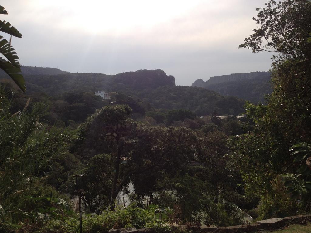 Hostel Jungle Monkey Backpackers Port Saint Johnʼs Zimmer foto