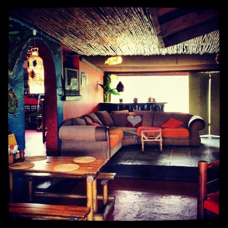 Hostel Jungle Monkey Backpackers Port Saint Johnʼs Exterior foto