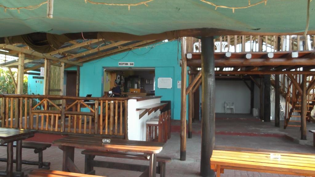 Hostel Jungle Monkey Backpackers Port Saint Johnʼs Exterior foto